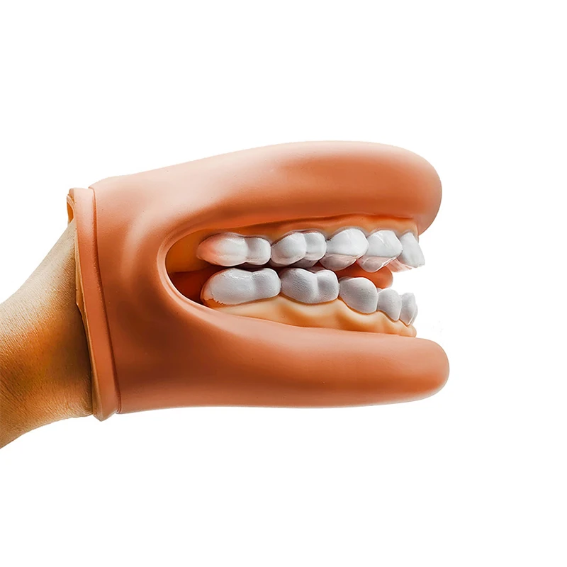 1 zestaw Model dentystyczny Mighty Mouth Hand Puppet z językiem do terapii mowy Dentysta / edukacyjny zasób edukacyjny dla dzieci