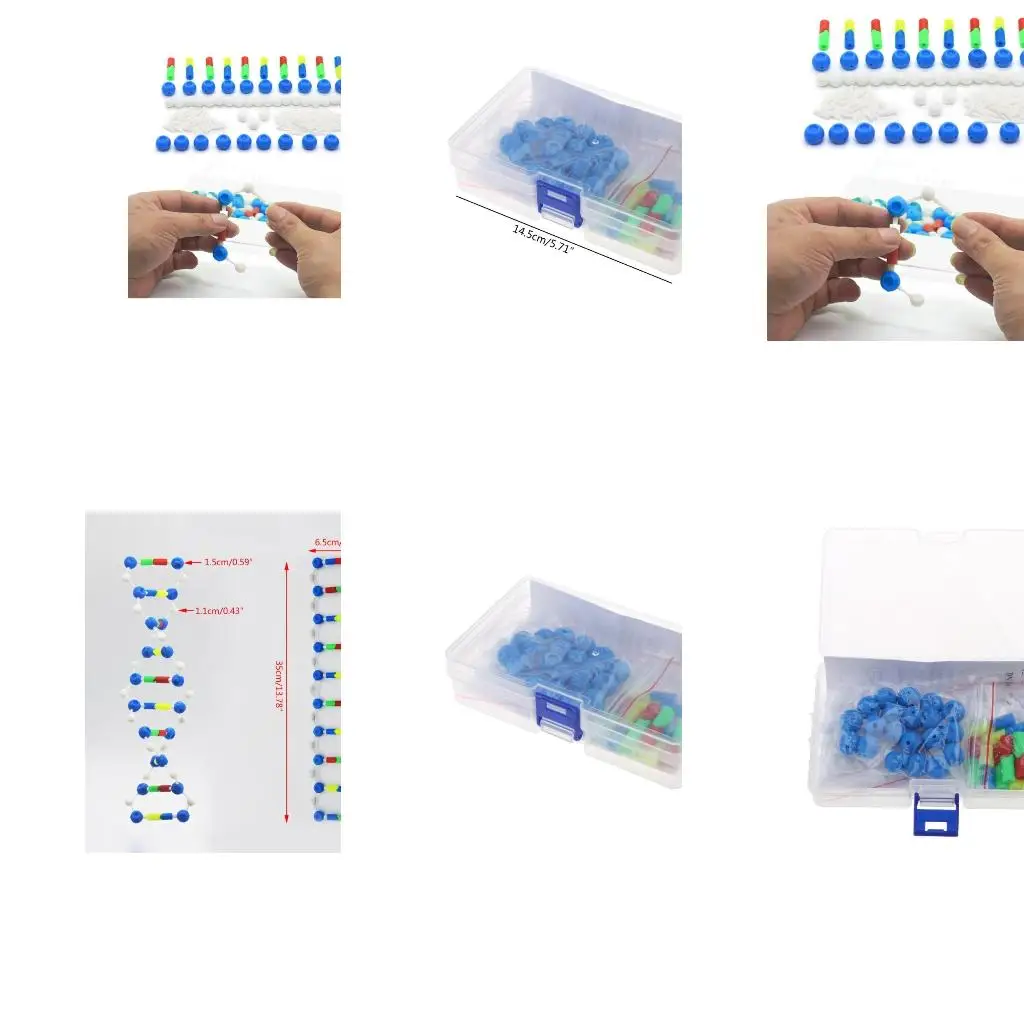 DNA Components Kits DNA Double Model Biological Science Teaching Aids Gift