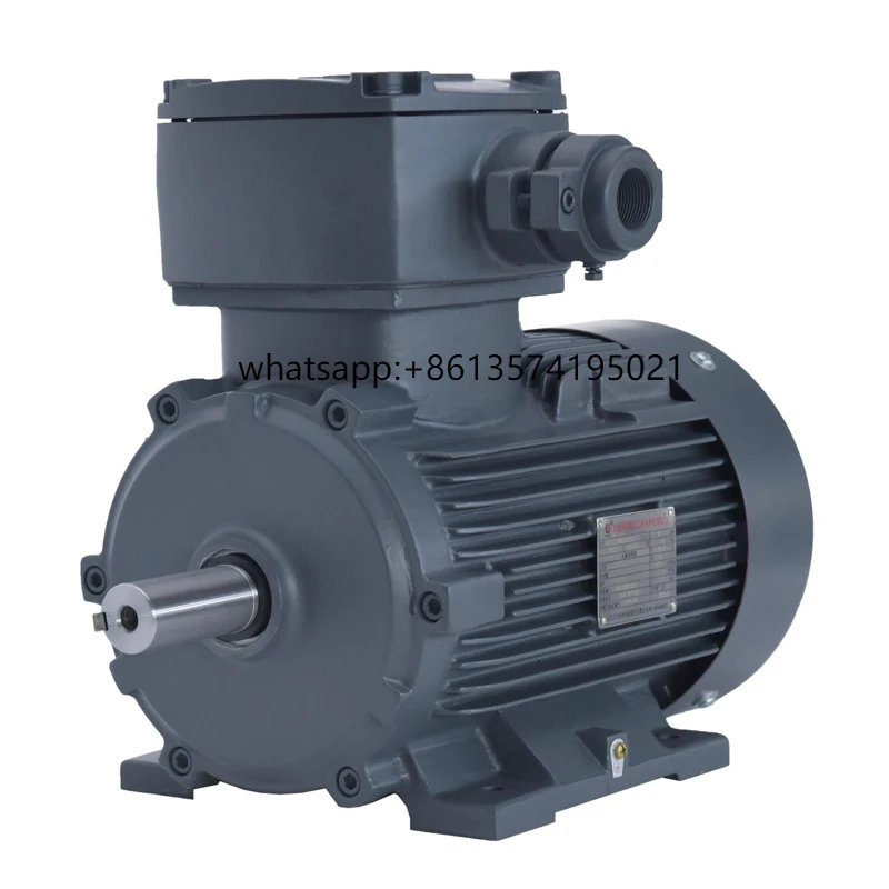

3 Phase Permanent Magnet Motor Induction Asynchronous Electric Motor for Screw Pump Unit LEADGO TYPL Series