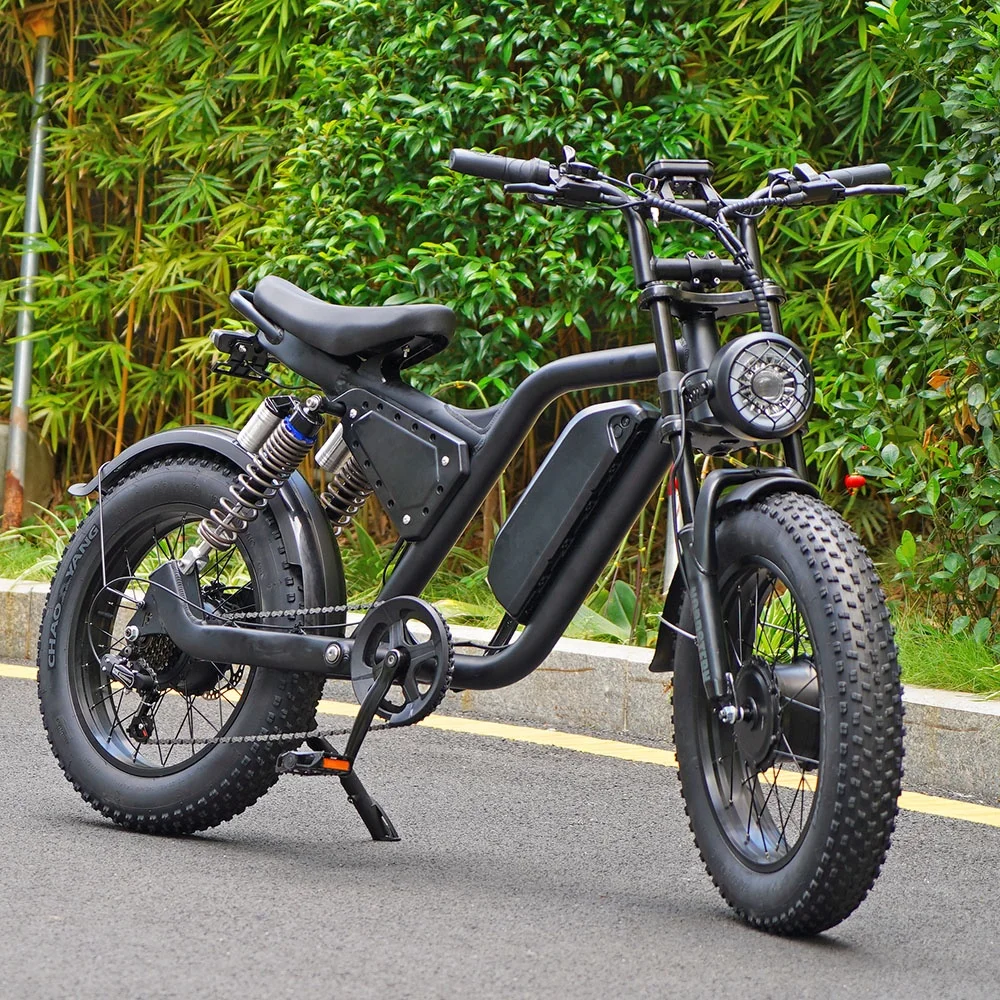 

Electric Dirt Bike Dual Motor Aluminum Alloy Electric Bike Man 20'' Cheap 7 Speed Fat Tire Electric Moutain Bike