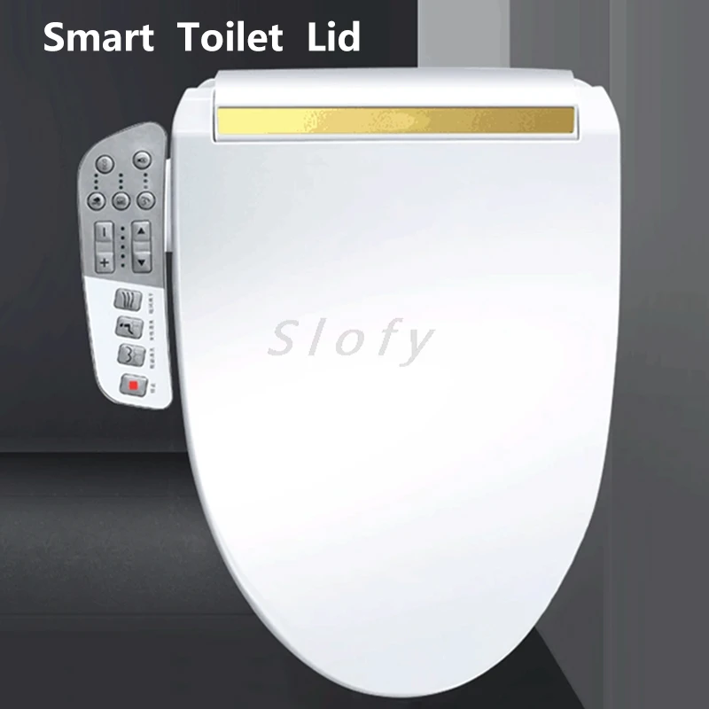 Smart Toilet Seat Toilet Cover Remote Control Water Wind Temperature Dryer Universal Toilet Lid  For Bathroom Smart Bathroom WC