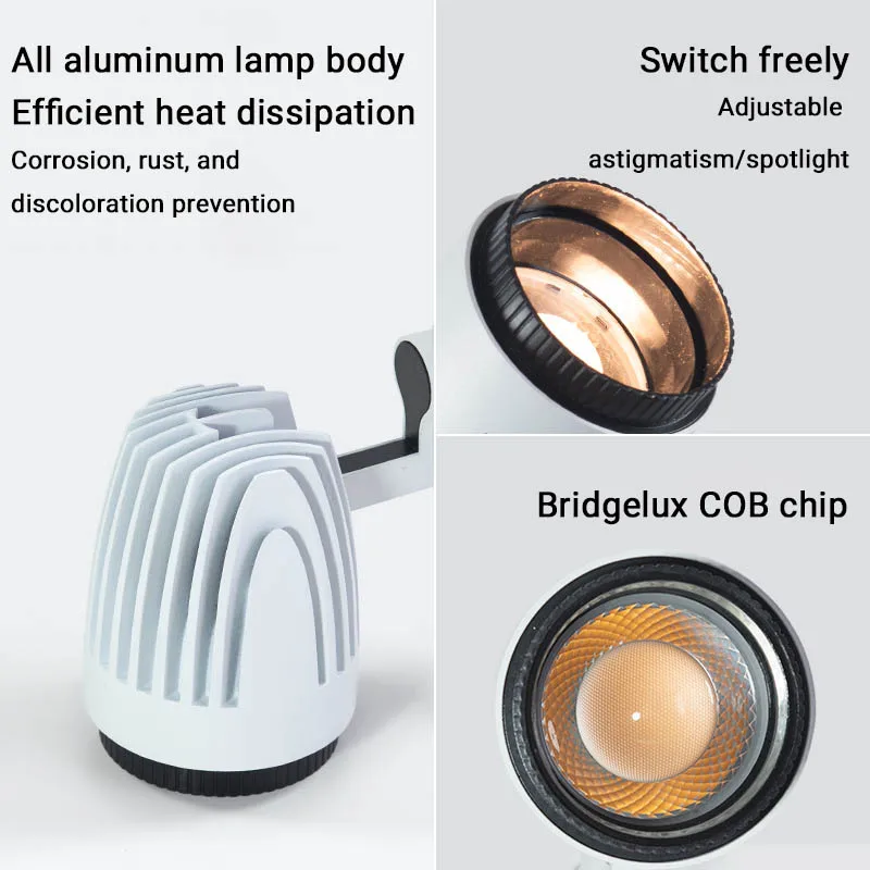 Рисунок 5 - Регулируемый прожектор COB