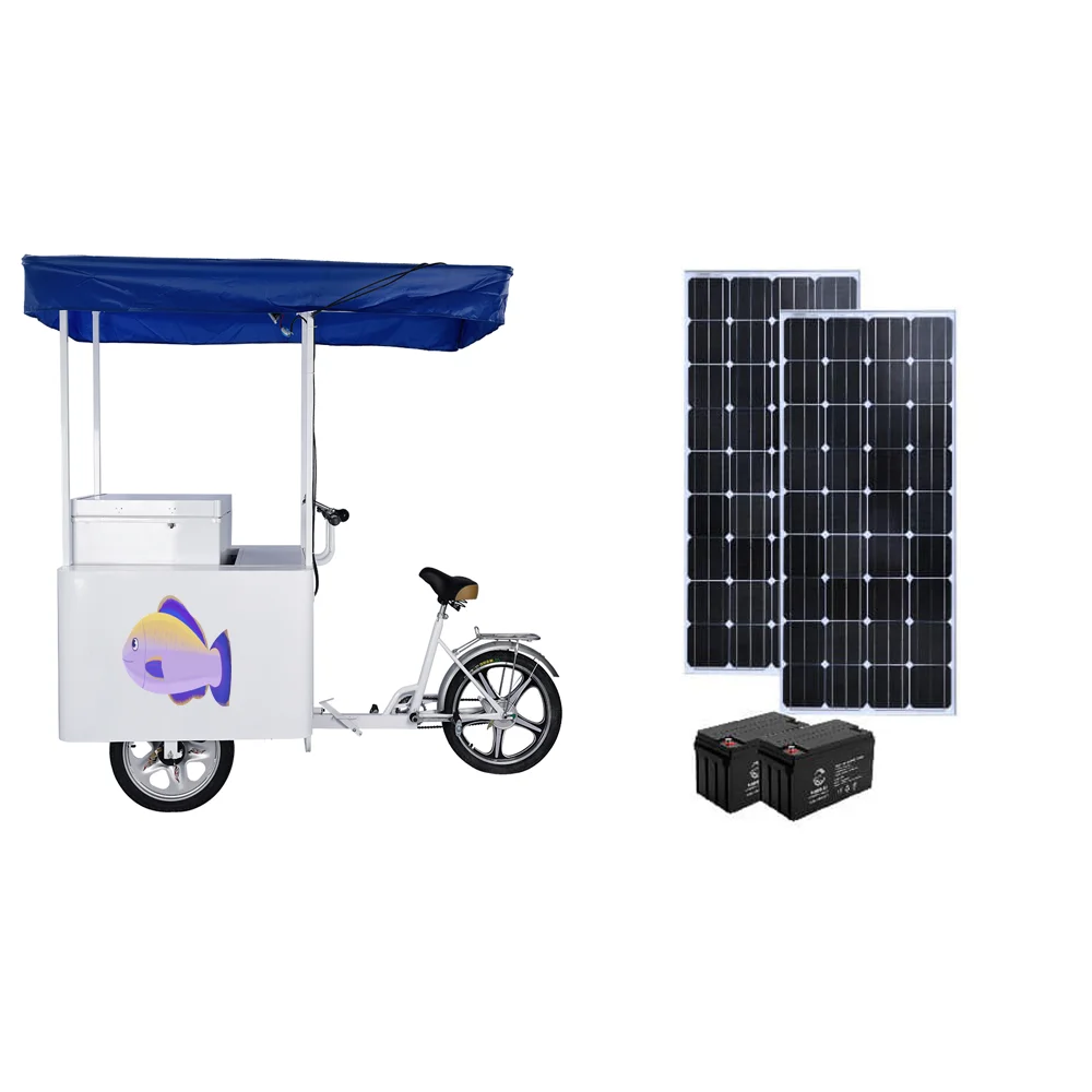 

Hot Sales 12v 24v Tricycle Freezer Bike Solar Powered Ice Cream Bike 158lites Cooler Box