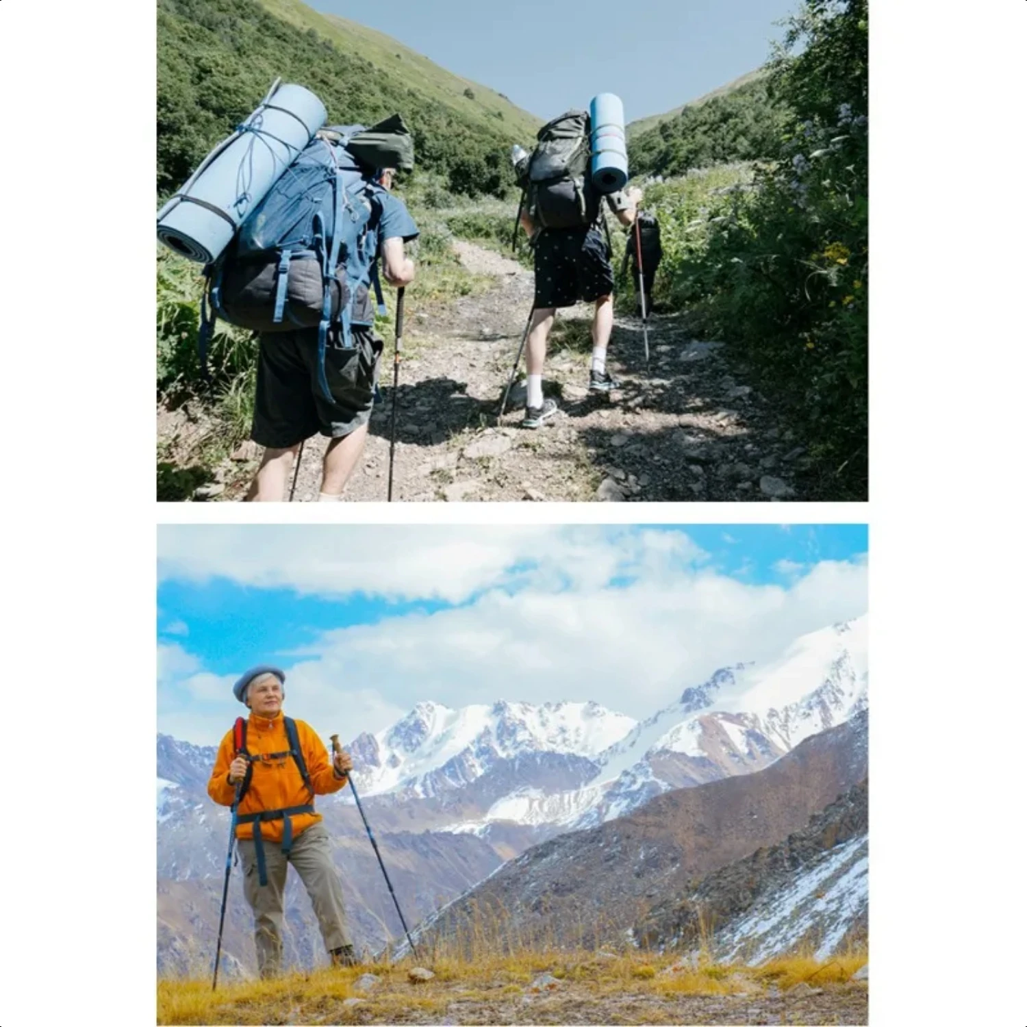 Ultra Light Folding Five Section Telescopic Aluminum Alloy Walking Stick with Outer Lock for Mountaineering and Hiking