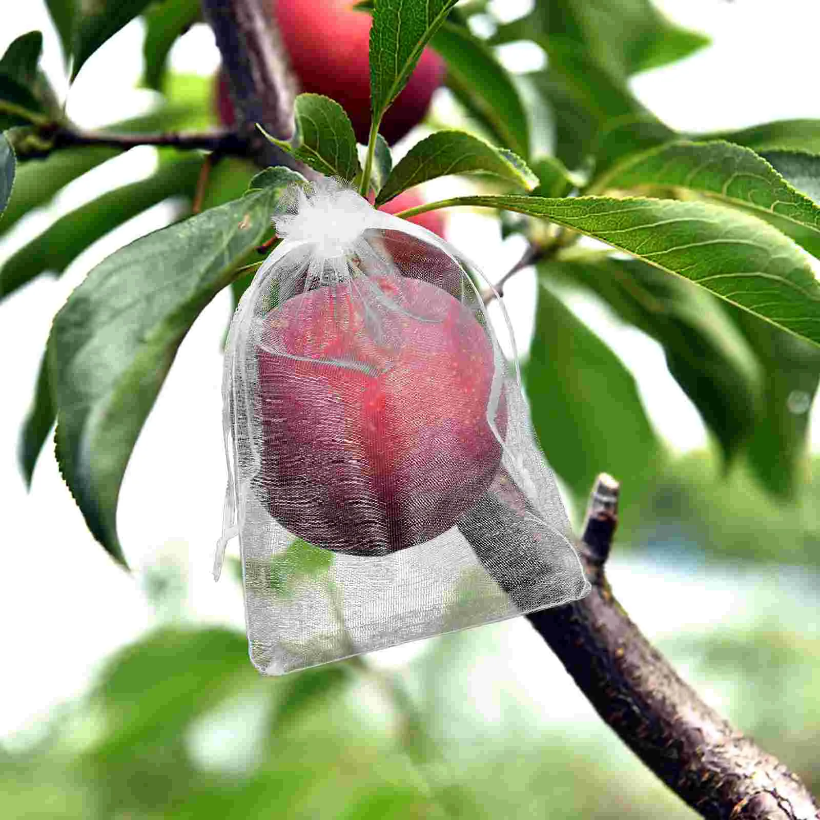 

50pcs Fruit Protection Bag Fruit Netting Bags Fruit Cover Mesh Bags with Drawstring Garden Netting Bag