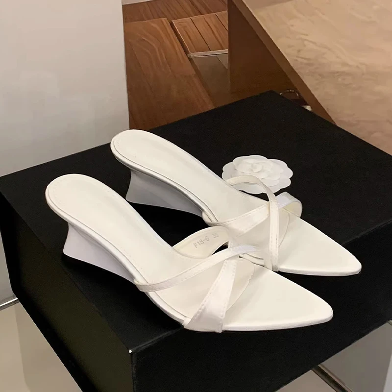 

Pointed Toe Slippers Women Wedges Sandals High Heels Beach Shoes Sexy Woman Shoes Dress Pumps New Mujer Sandalias