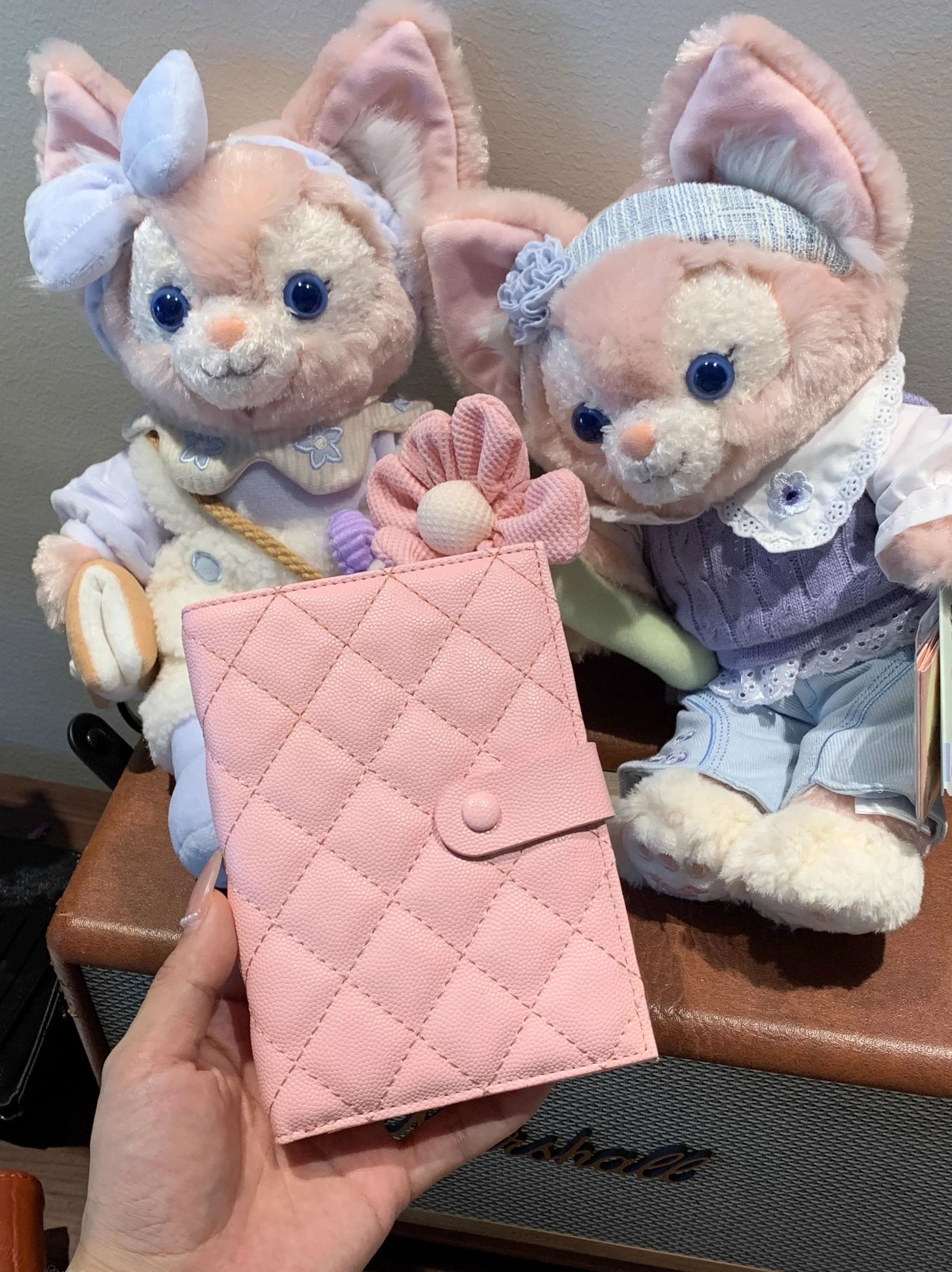 carteira-de-viagem-portatil-cacta-e-leve-organizador-multifuncional-para-passaporte-ideal-para-viagens-internacionais