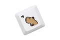 Capybara Type J x1