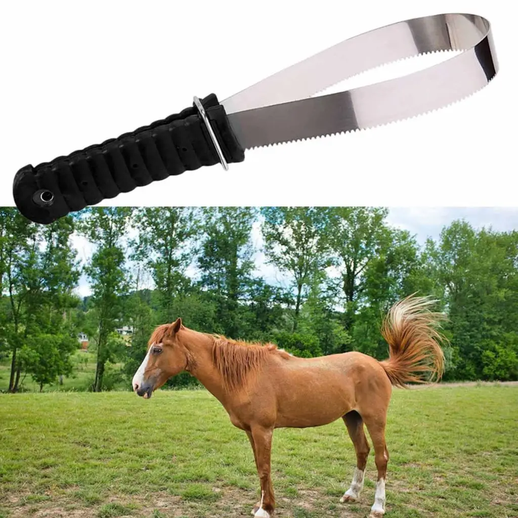 Horse Brush Scraper Stainless Steel Grooming Shaving Blade Cleaning Comb for Horses Cattle Donkeys Dog Care