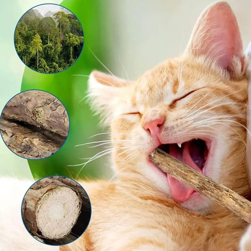 5Pcs Natural Catnip Pet Cat Molar Toothpaste Stick Cat Kitten Chew Toys  Pet Supplies Cat Snacks Sticks Healthy Pet Accessories