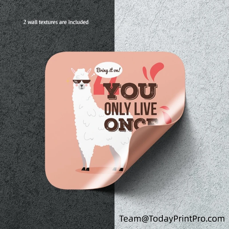 Lipo Injection Bodybuing Labels and Boxes, Custom Laser Hologram, Labma Brand, Testosterona 100mg 250mg, 10ml