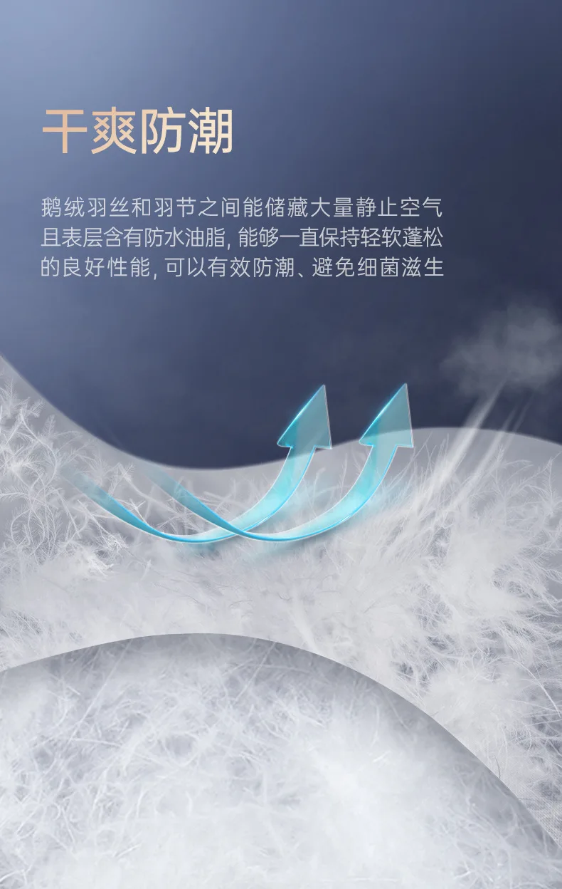 Pillow, Pillow Core Class A, Down, Goose Down