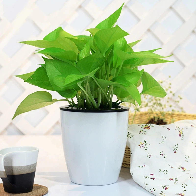 Multi-size Flowerpot Indoor Automatic Suction Flowerpot Windowsill Pot Pot