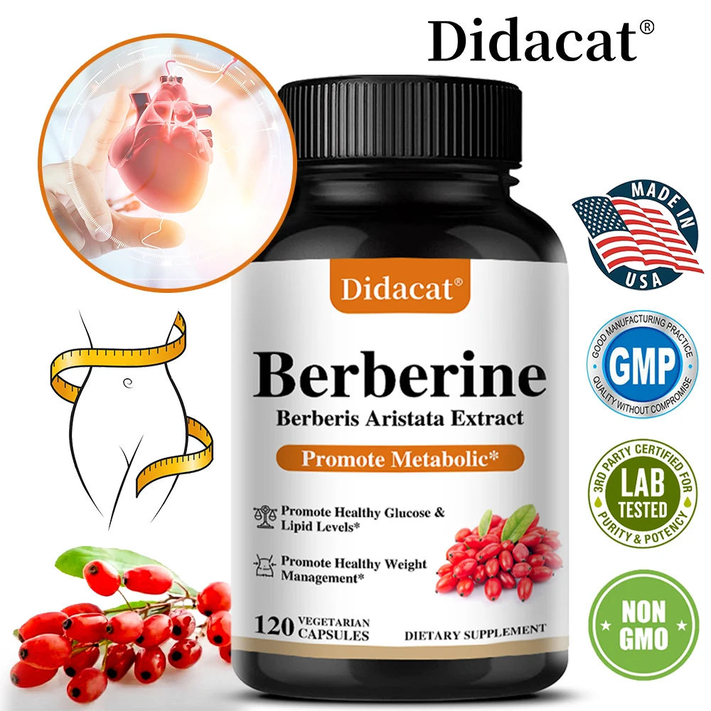 Berberine 500 Mg Dietary Supplement - Metabolism, Healthy Weight Management, Circulatory Health, Blood Lipids, Blood Sugar