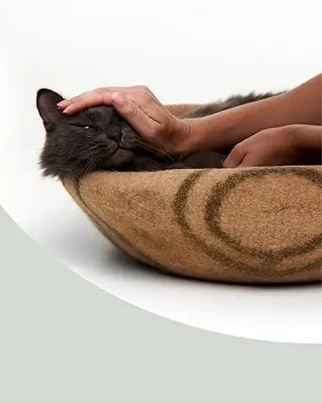 cat cave
