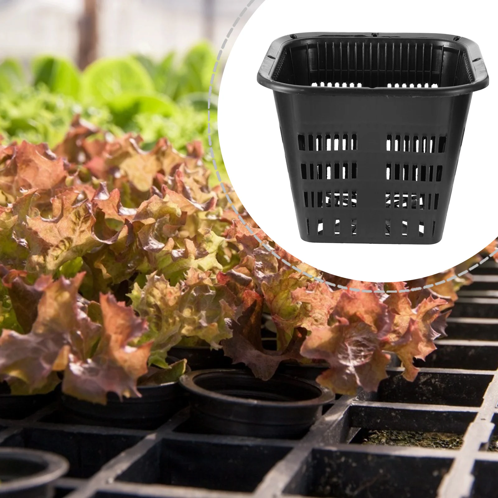 Hydroponic Basin Plastic Planting Basket Garden Square Planters Hydroponics Mesh Baskets Pot Black Planter