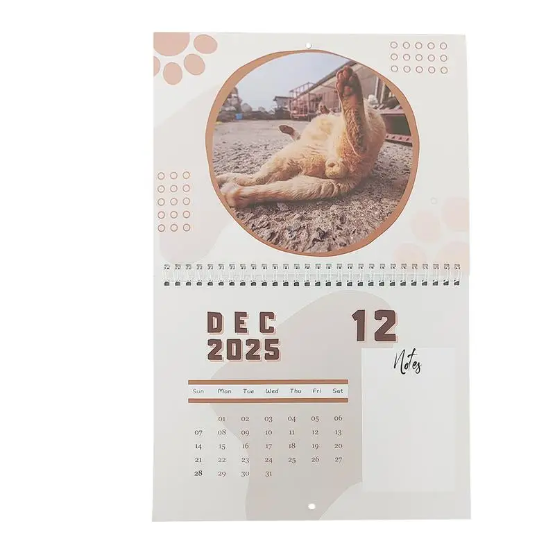 2025 Funny Hangable Paper Calendar Cat Balls Monthly Gag Humor Gift Prank Calendar for Home Livingroom Bedroom New Year Decor