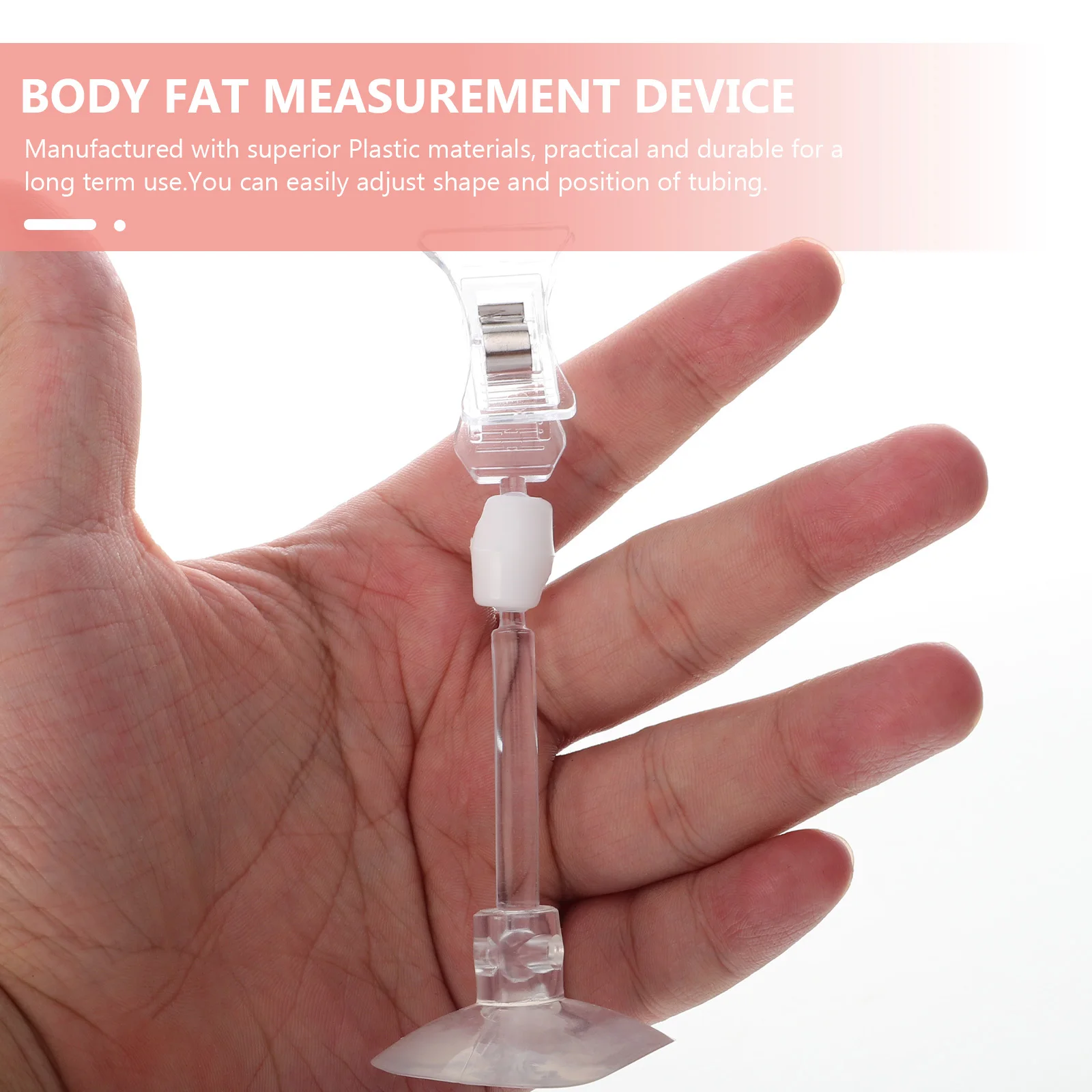 

6pcs Feeding For Aquarium Vegetables Holder Seaweed Suction Fish Tank Suction Cup Tool Fish Tank Accessories