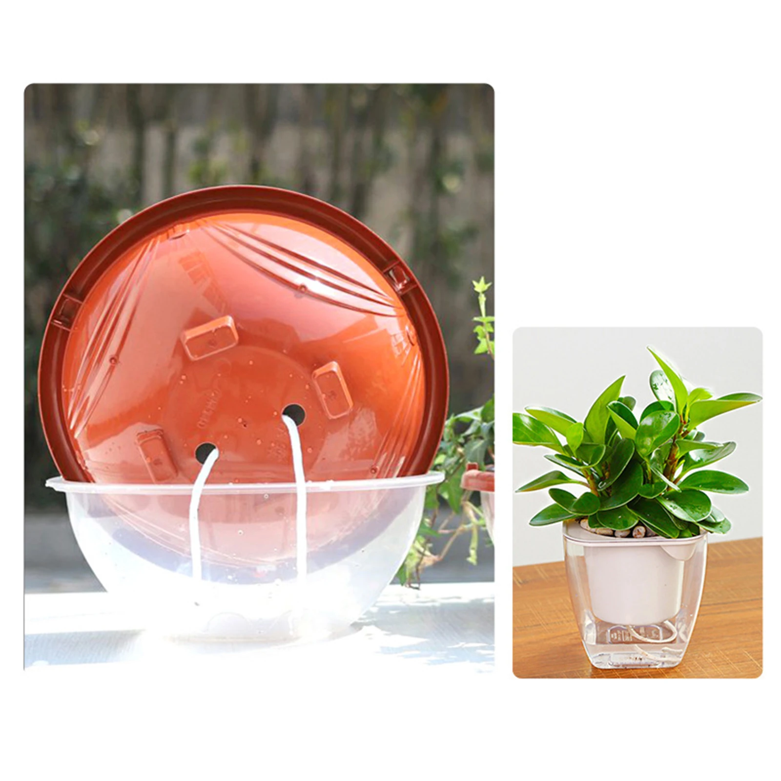 5/10m Hydroponic Wick Cord Self-Watering Cotton Wick Plant Water Feeder Wick Water Culture Liquid Farming Drip Irrigation Tools
