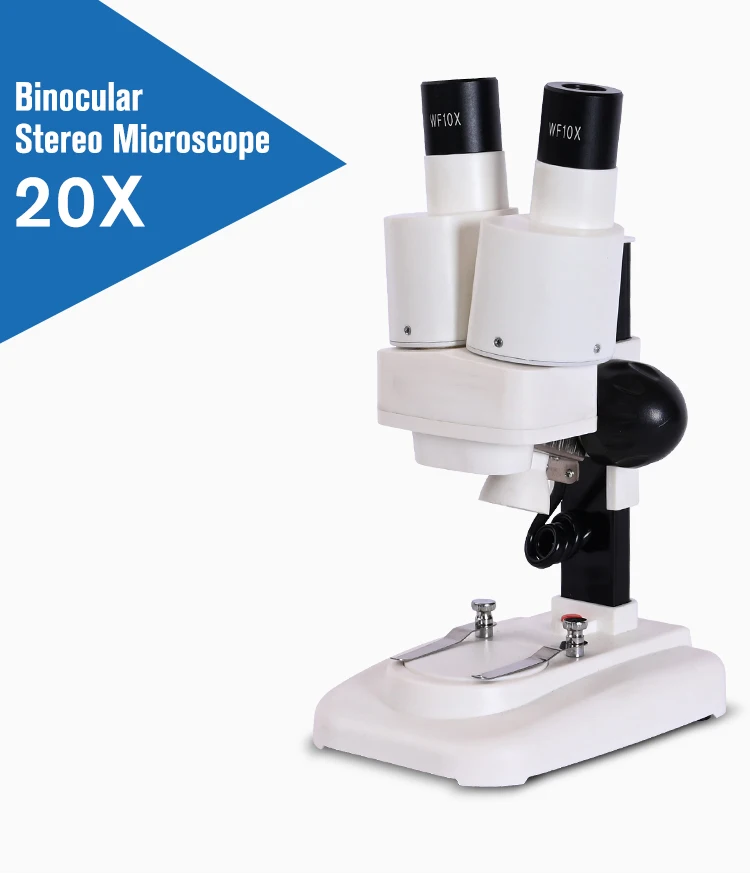 Zoom 20X Microscopio stereo elementare Luce binoculare a LED per telefono PCB Smartphone Riparazione microscopio composto portatile