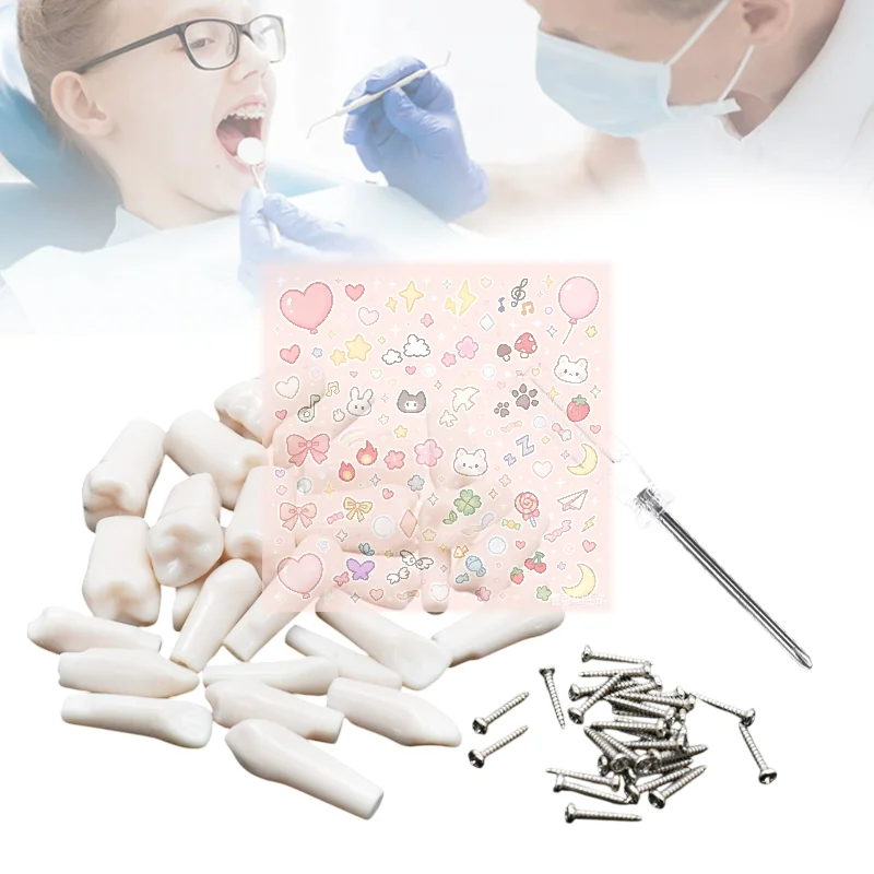 28/32pcs Dental Typodont Teeth Model Removable Individual Screw-in Resin Training Aid Denture Practice Replacement Tooth