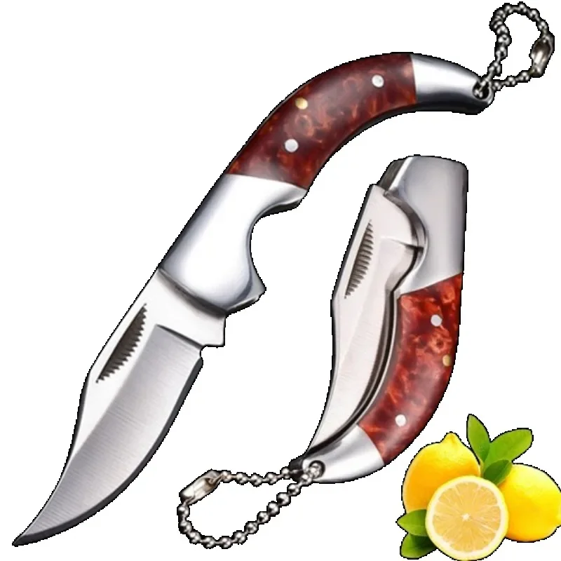 Foldable Knife Fruit Pocket Knife with Keychains Barbecue Kitchen Fruit Paring Knife Stainless Steel Multipurpose Utility knives