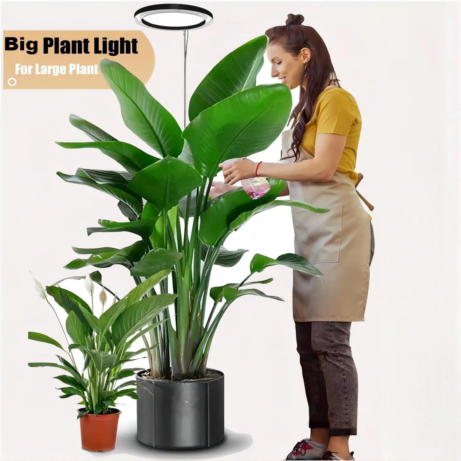 

Grow Light, LED Plant Light for Indoor Plants Growing, Full Spectrum Growth Lamp with Timer, Dimmable, Height Adjustable