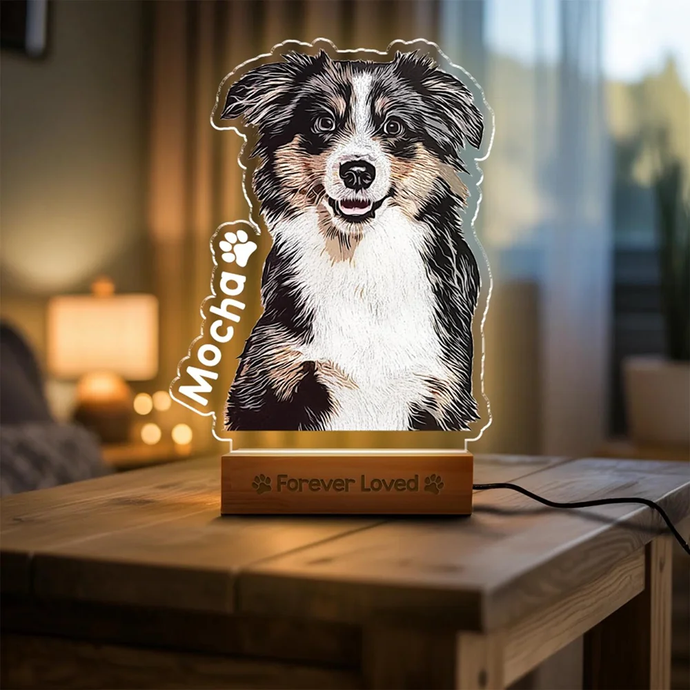 Personalisierte Haustier-Gedenk-Acryl-Nachtlicht, Individuelles Geschenk für Hunde und Katzen, Schlafzimmer-Dekoration, Warmes Weihnachts-Ornament, Geschenk für Tierliebhaber – Detail 5
