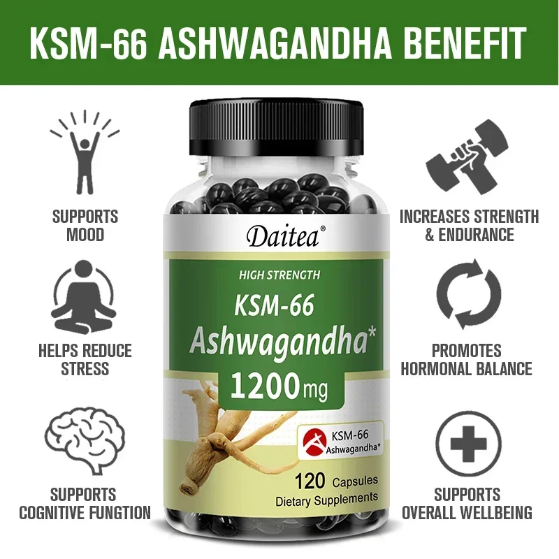 Organic KSM 66 Ashwagandha Premium Capsules Supports Brain & Memory, Improves Stress, Supports Focused Mood Immunity, Deep Sleep