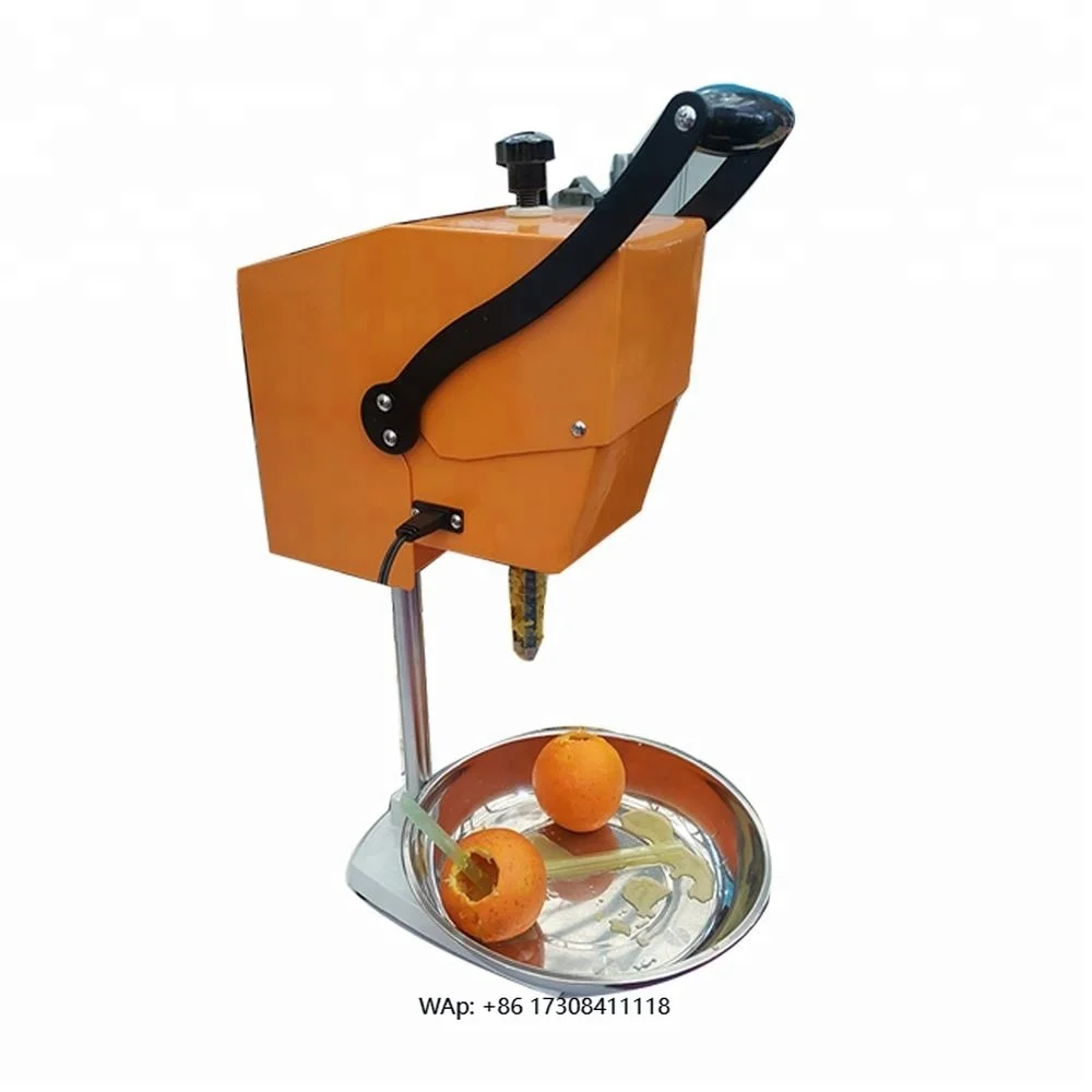 

Hot Sale Low Speed Fresh Fruit Juicer Mini Blender Dragon Fruit Orange Juicer 100% Pure Juice