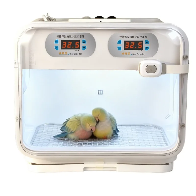 Parrot Brooder Incubator Special for Baby Bird Constant Temperature Warmth Wind Heating Chick Rearing Tool Fit for Cockatiel