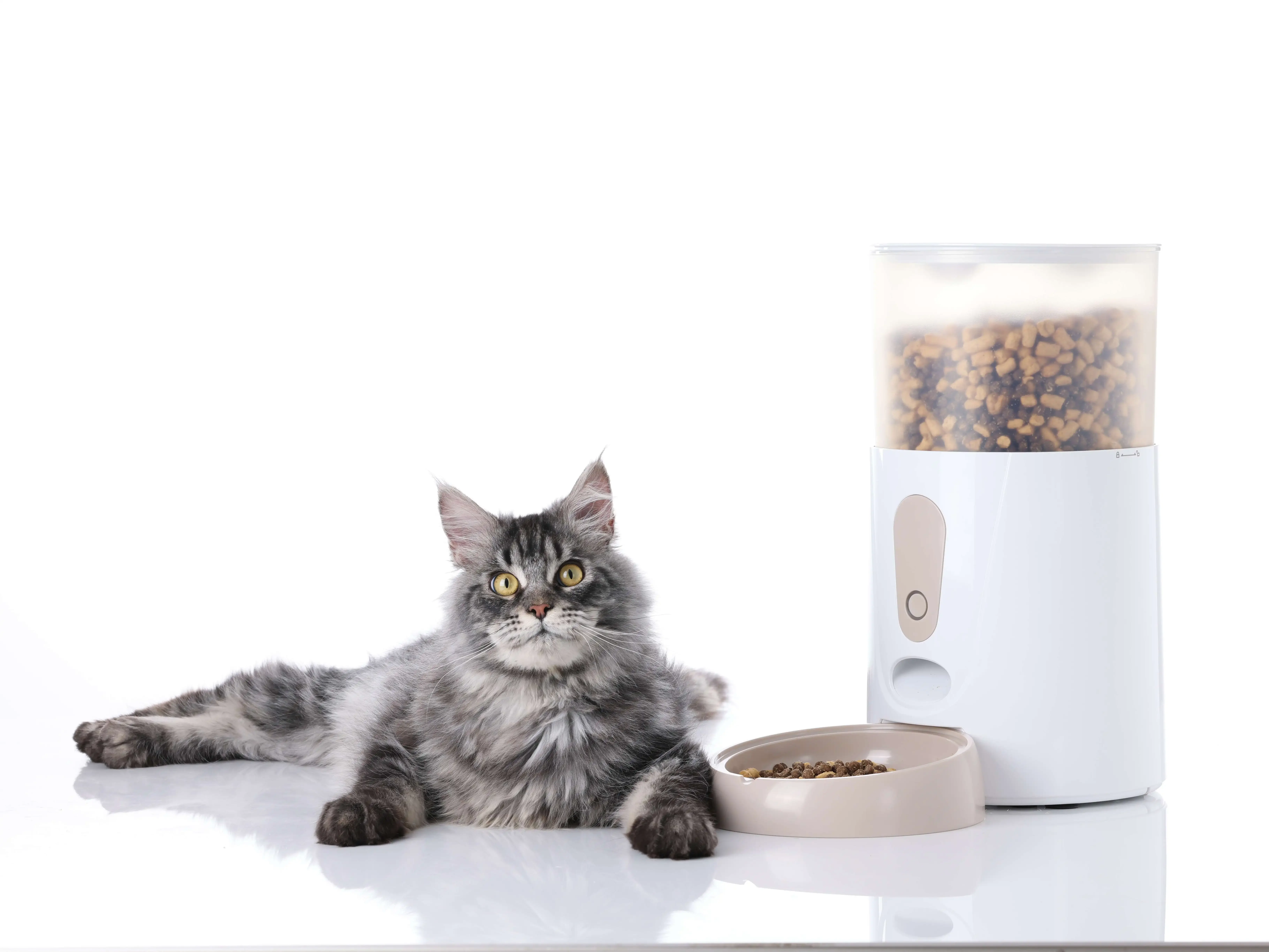 Pet Electronic Products App Remote Control Easy to Clean Automatic Smart Pet Feeder With Memory Function