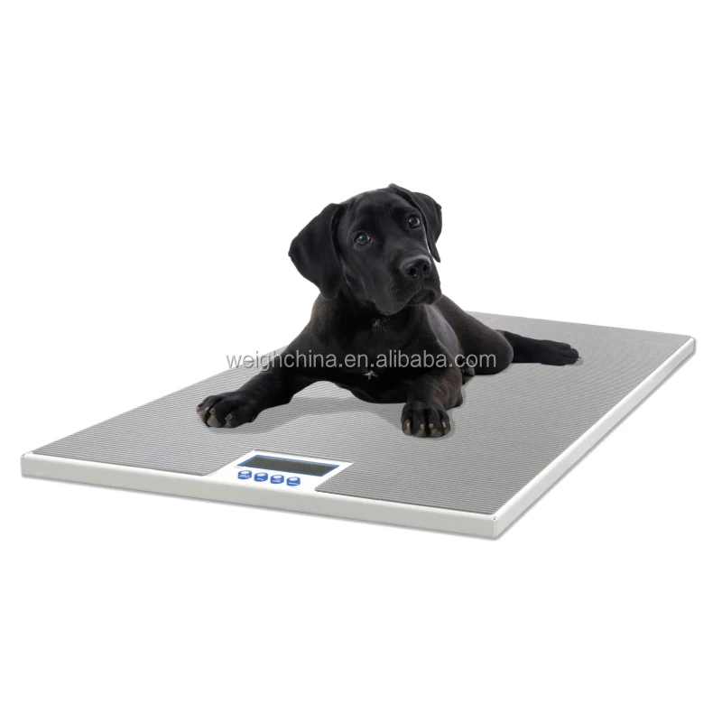Heavy Duty Veterinary Scale for Pets Supports up to 150kg Ideal for Cats and Large Animals