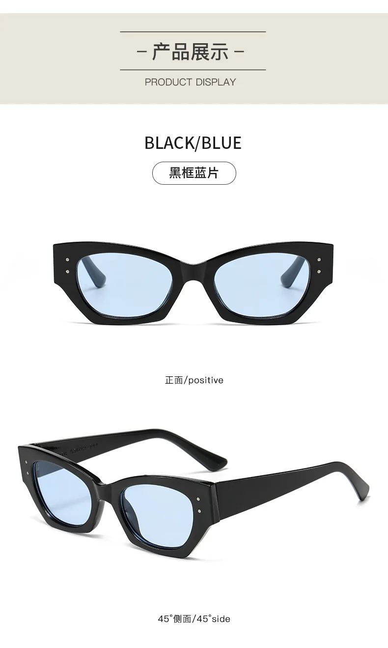Vintage Kleine Niet Cat Eye Sonnenbrille Frauen Mode Marke Luxus Designer Polygon Sonnenbrille UV400 – Detail 10