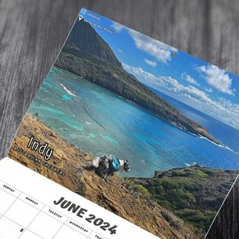 Dog Pooping In Beautiful Places 2024 Calendar (Pre-Order) - Funny Wall Art Christmas Holiday Gag Gift Prank Item facile da usare