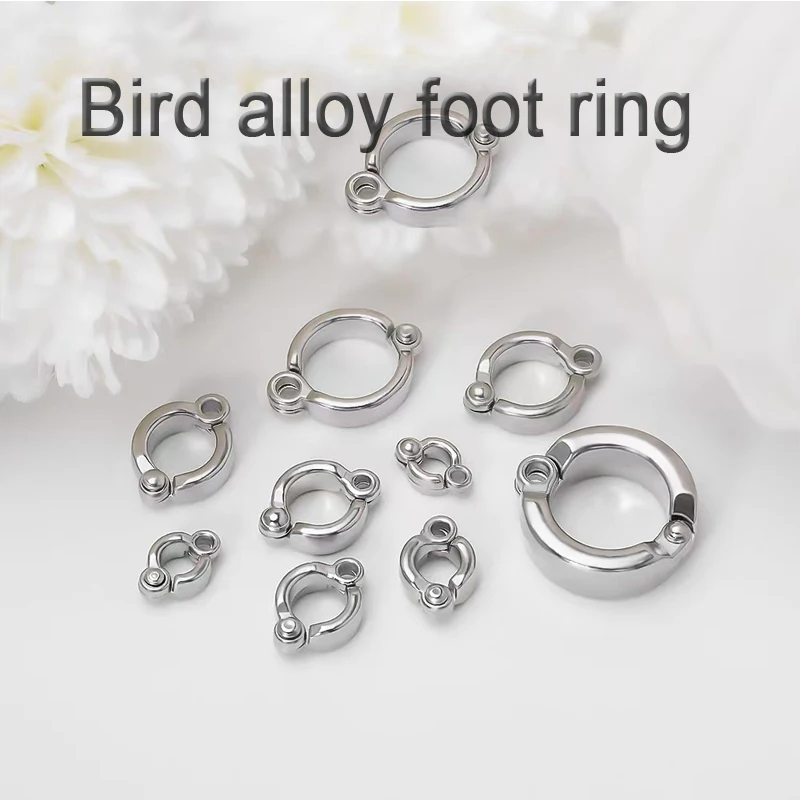 Parrot Leg Ring Stainless Steel Pet Bird Leg Ring Outdoor Flight Training Activity Anti Loss Open Leg Ring Foot Ring Chain - Image 5