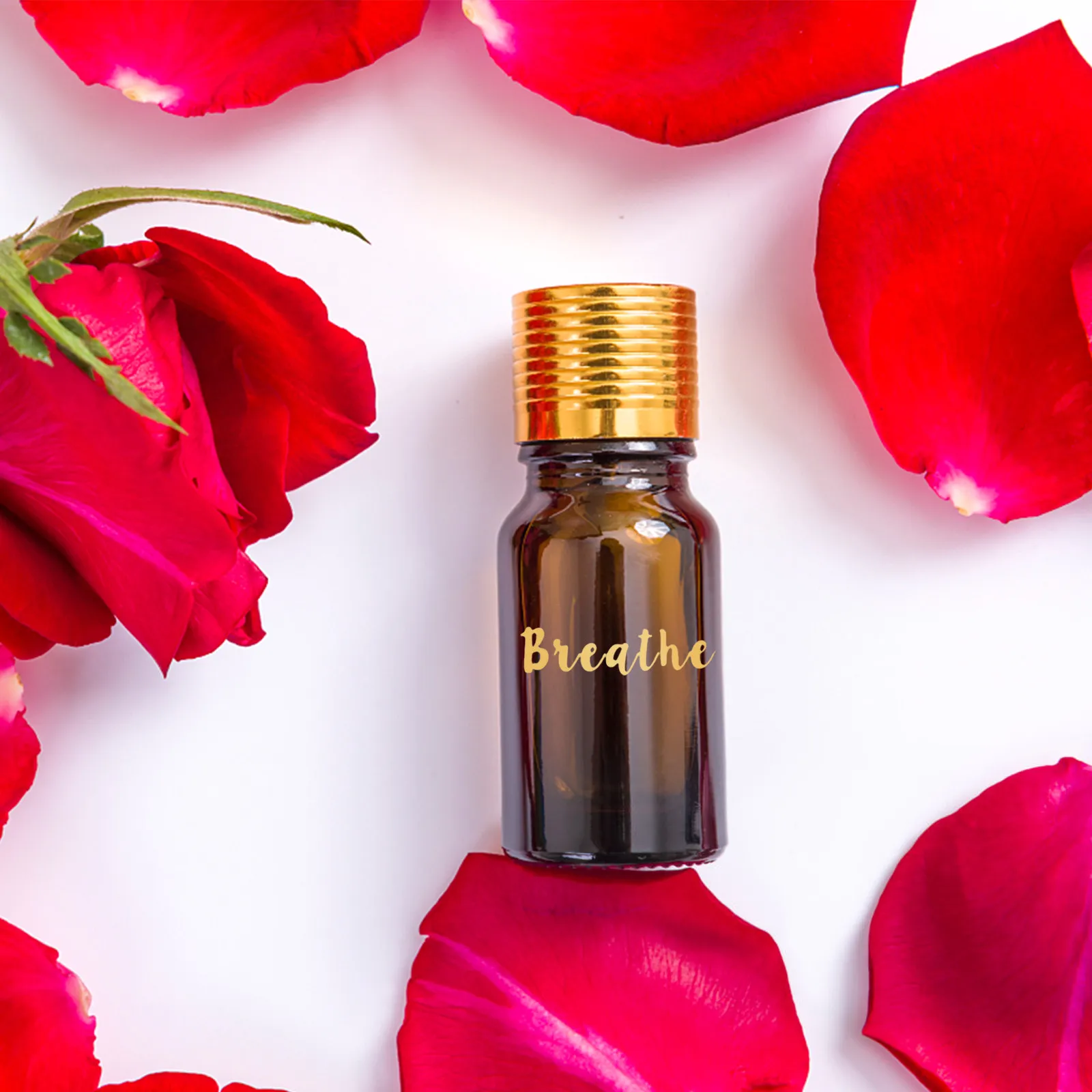 

5 Sheets Bottle Letter Labels for Essential Oils Self Stick Adhesive Tags Clear Recognition Efficient Sorting Aromatherapy Kit