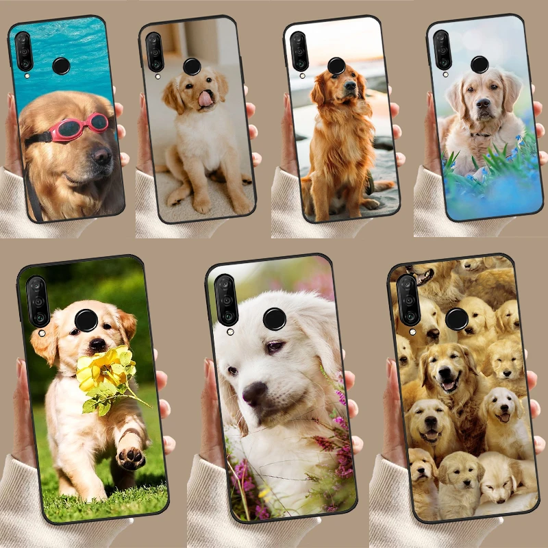 Golden Retriever Do… - image