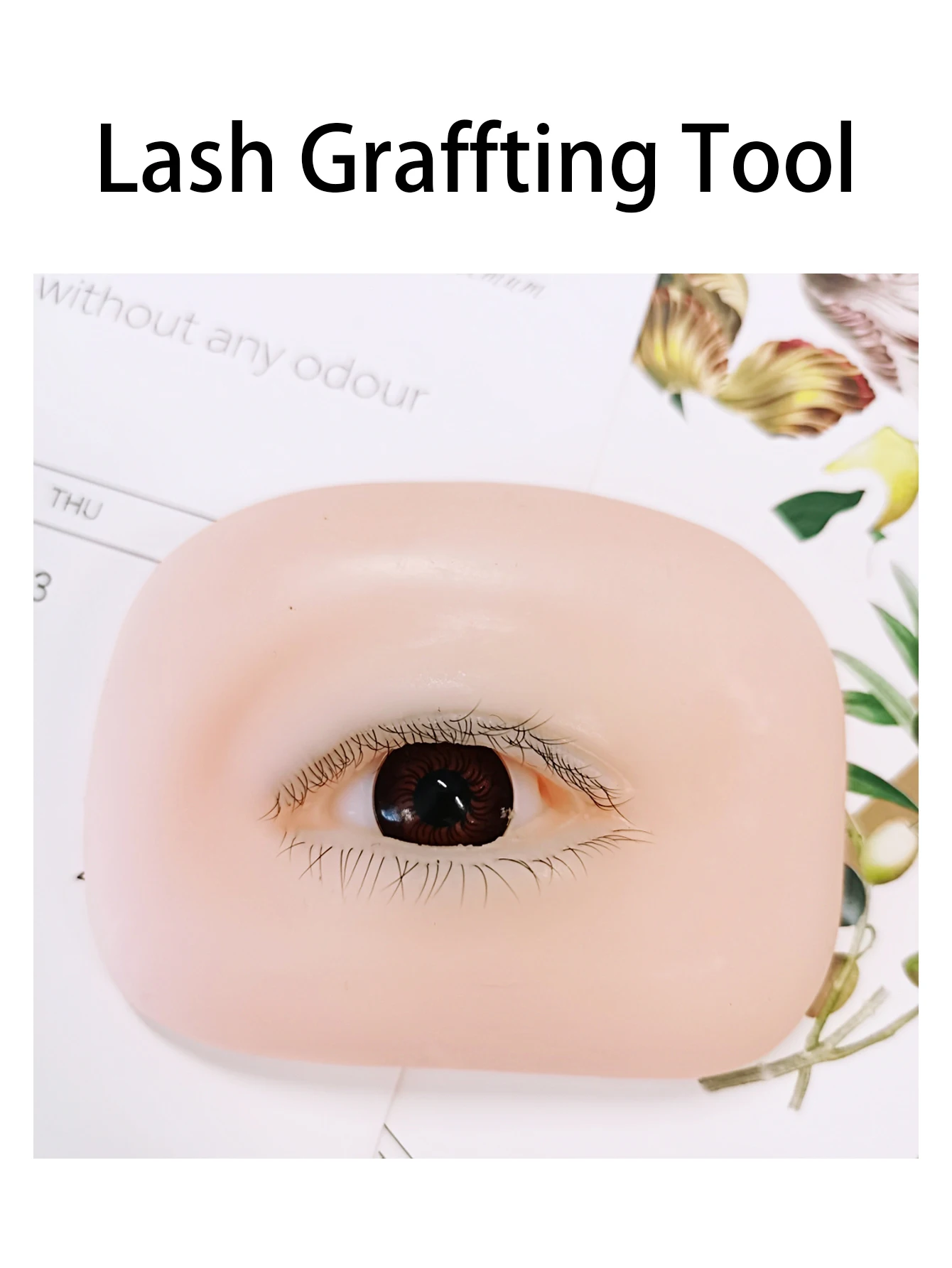 Mannequin Eyes for Eyelash Practice, Flat Doll Head, Korean Makeup Products Tool,False Eyelash Grafting Training Mannequin Head