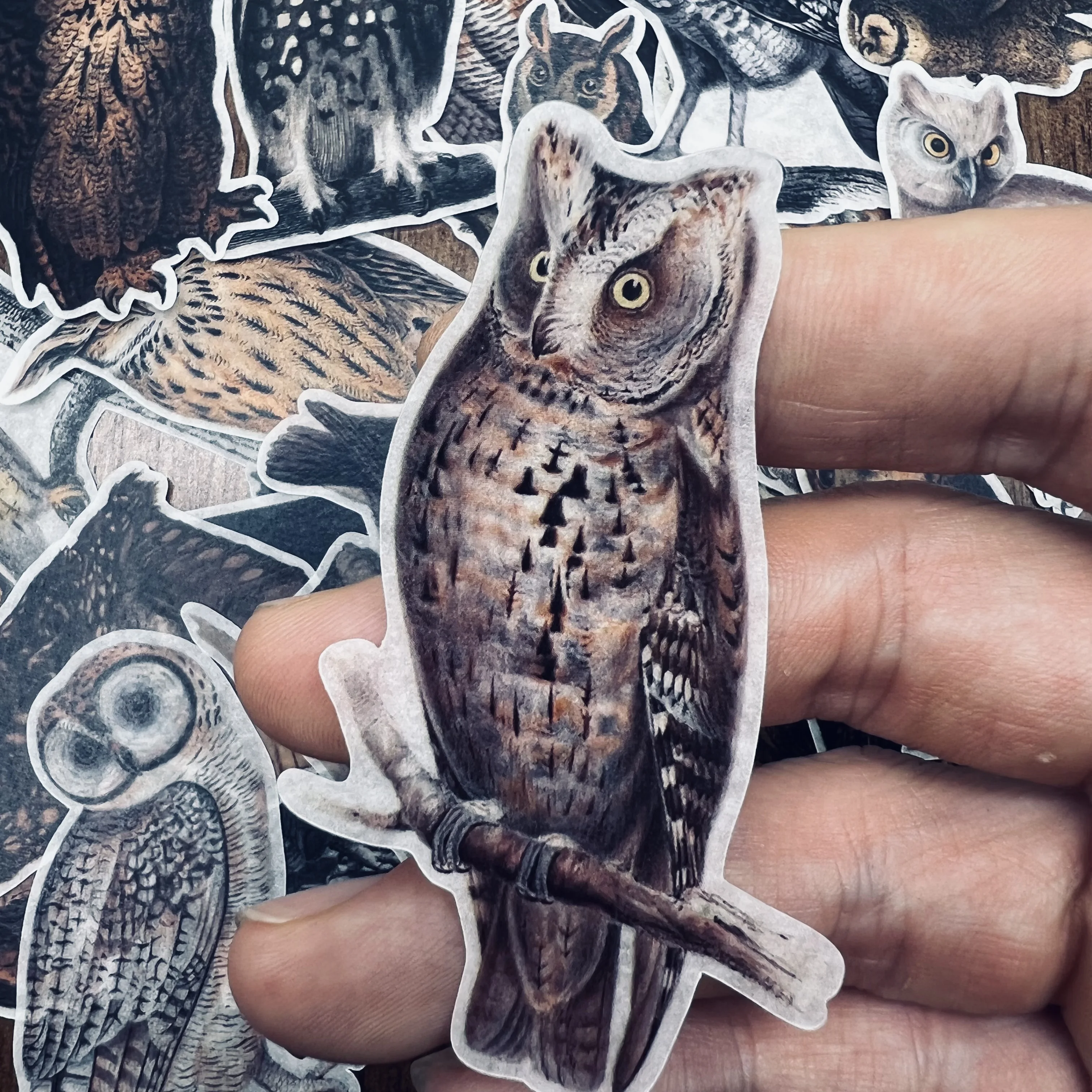 Junk Journal Retro Owl Stickers DIY Scrapbooking Collage Phone Diary Album Happy Plan Gift Seal Decoration