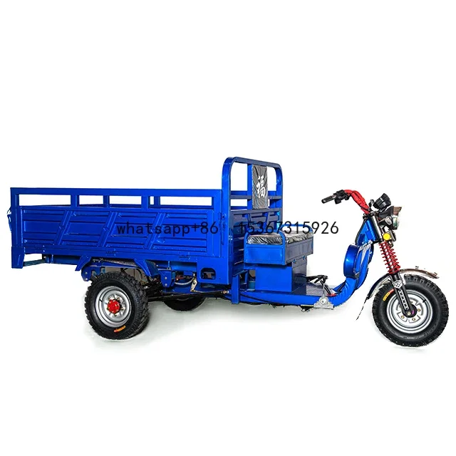 2022 Cheaper Strong Power 60v 3000w Electric Tricycle Cargo Electric Trike Tricycle For Cargo Electric Van For Global