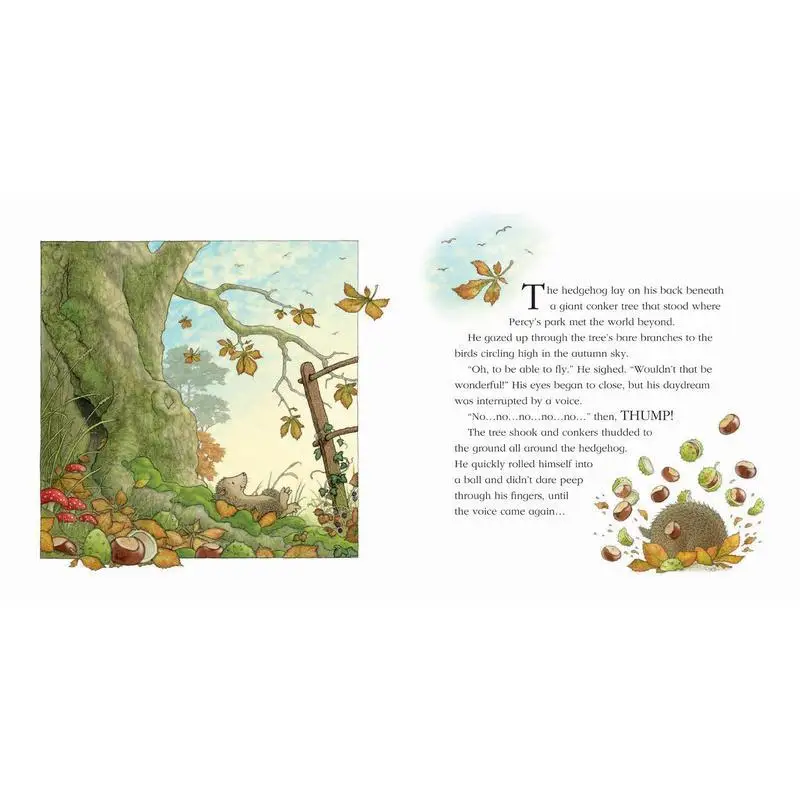 A Percy The Park Keeper Story  A Flying Visit Nick Butterworth Harper Collins UK 9780008455620 Book