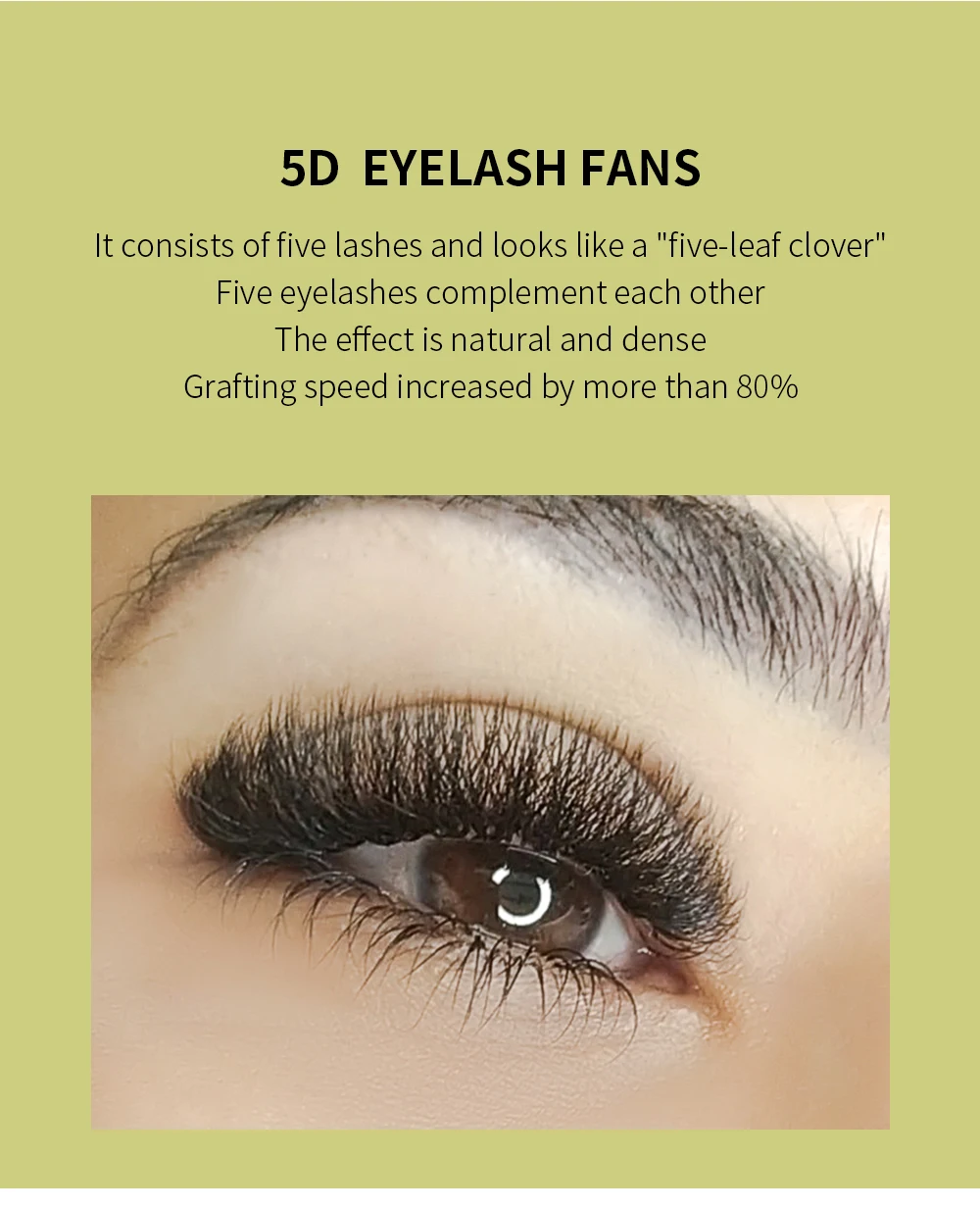 GLAMLASH 4DW 5DW 0,10mm Curl Wimpernverlängerung Künstliche Wimpern – Detail 11