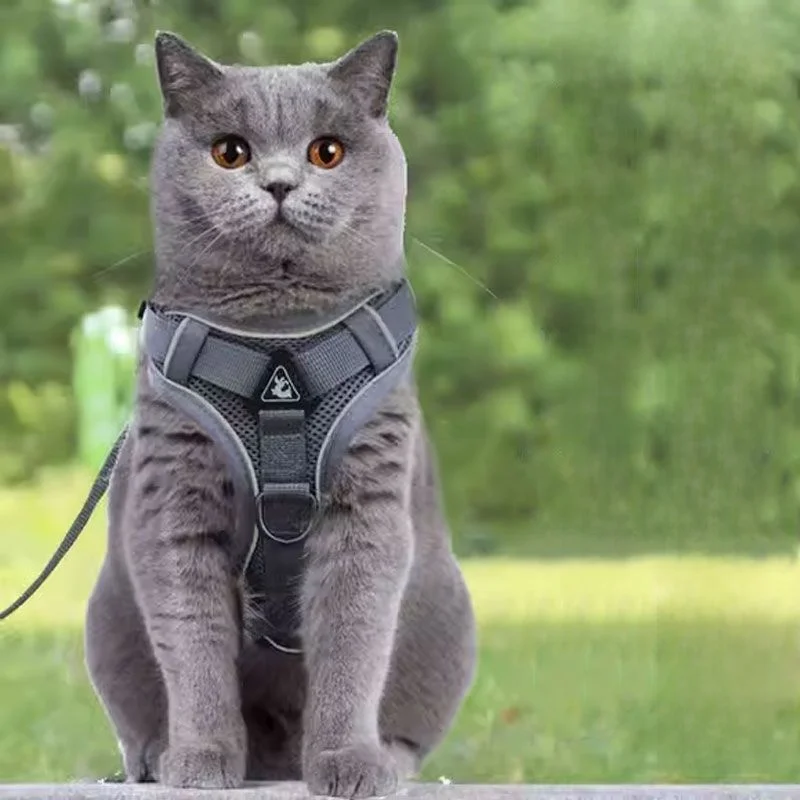 

Регулируемая прогулочная шлейка-жилетка для собак Lea Toy Blue с поводком, удобная, дышащая, для выгула питомцев