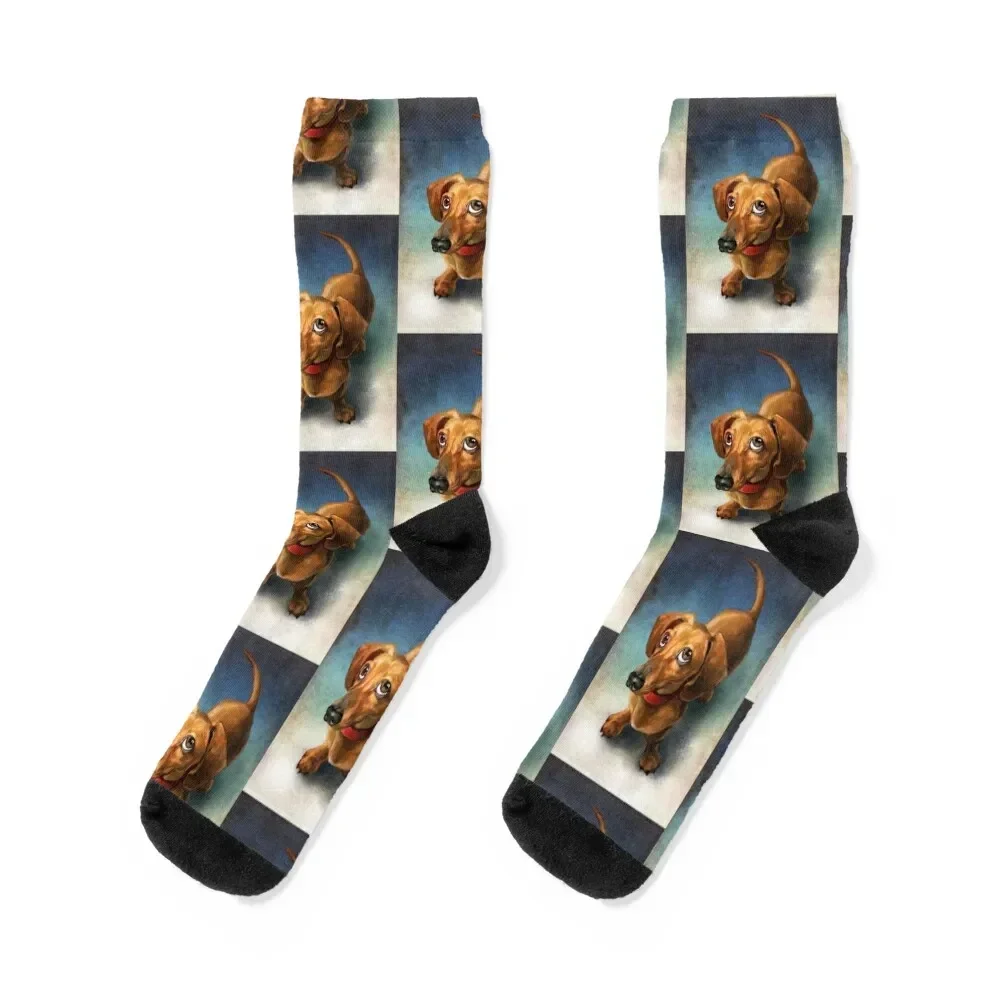 

Dachshund Dog cute Portrait Art Socks Wholesale summer golf Men's Socks Luxury Women's