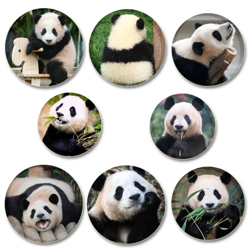 Fu Bao/Xiang Xiang/Ru Yi Badge Cute Chinese Pandas Brooches Clothing Backpack Accessories HD Print Handmade Pin Gift 32/44/58mm