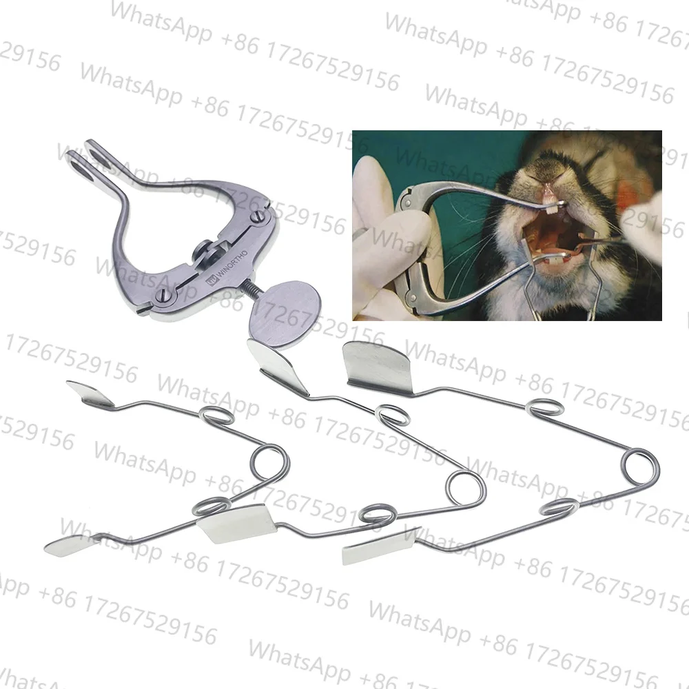 Applicable to Professional Rodent Rat Rabbit Dental Dentistry Instrument Buccal Cheek Dilator Wire Cavity Speculums Oral Exams