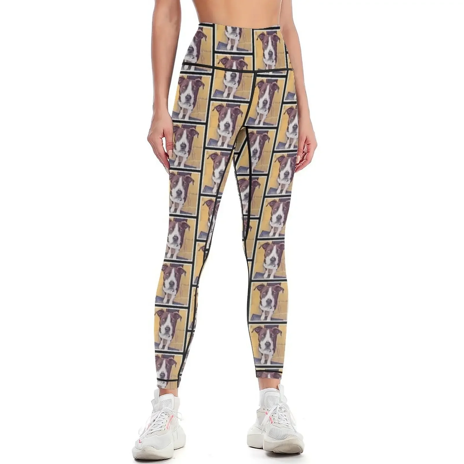 

Arya by Krelly Designs Leggings gym womans push up fitness sportswear gym push up legging Womens Leggings
