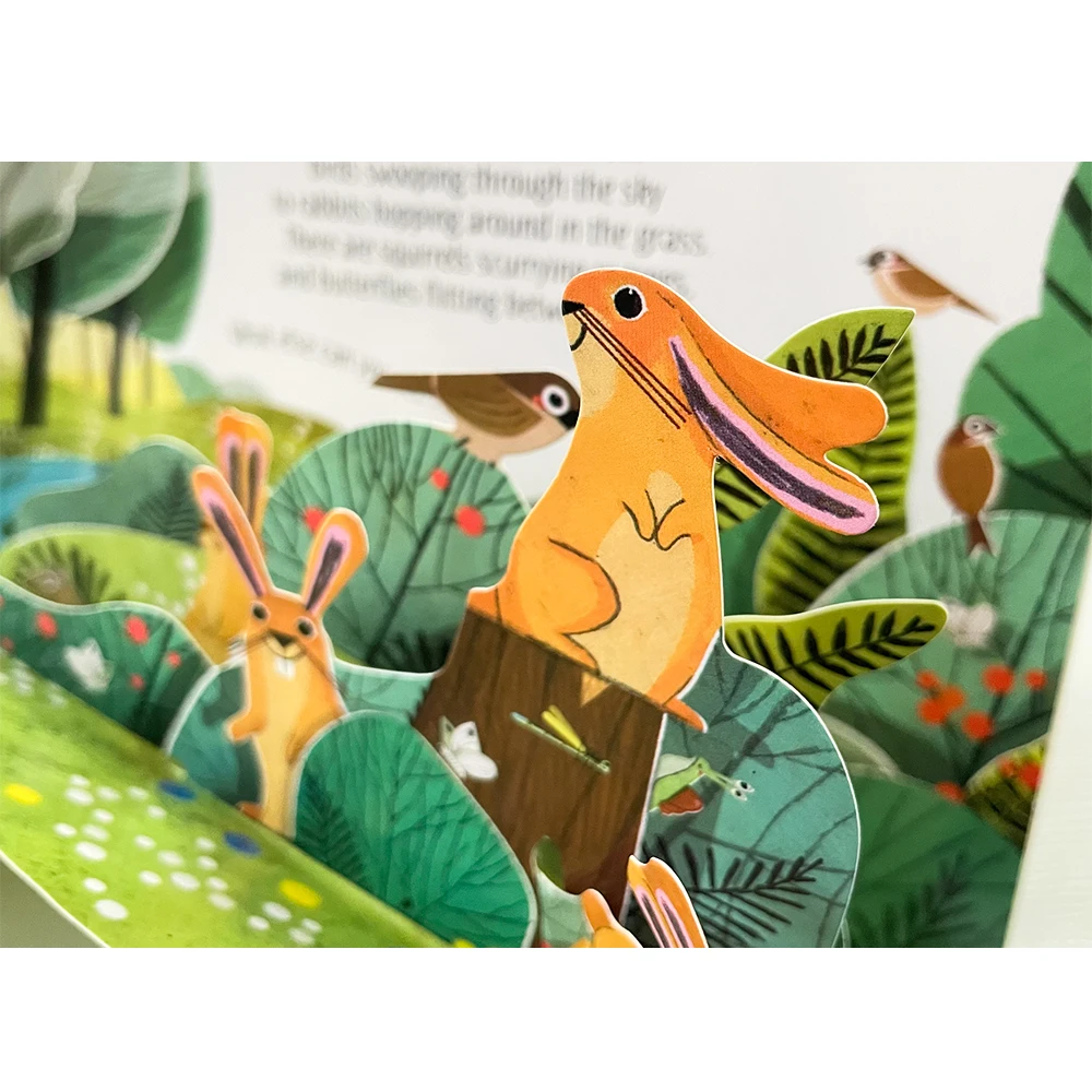 Natureza usborne pop-up inglês 3d aleta imagem livro crianças leitura bebê aprender inglês língua livros para crianças montessori brinquedos