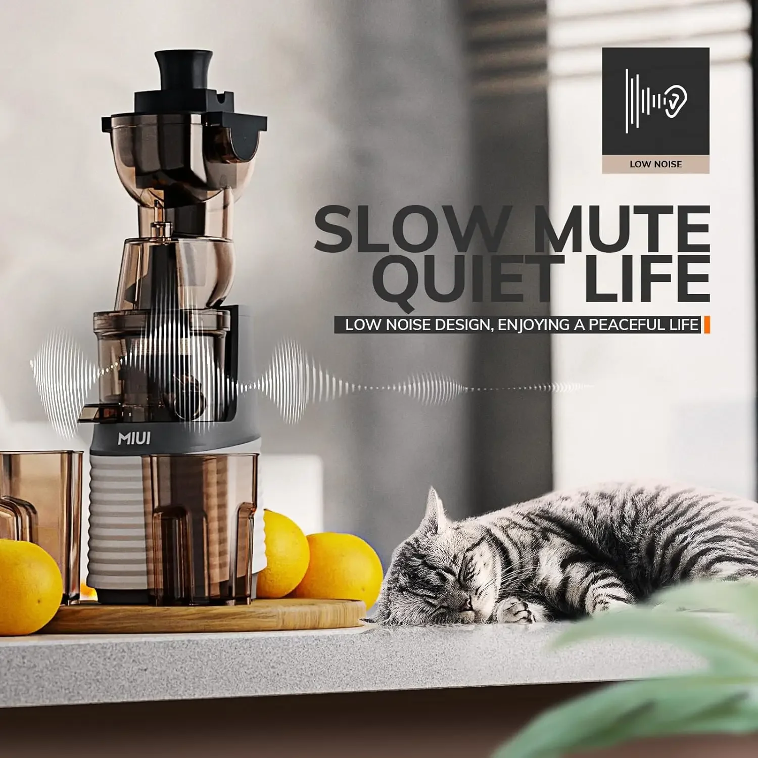 Efficient Slow Masticating Juicer Machines for Cold Pressing - Wide Chute, Easy to Clean, Perfect for Celery, Fruit, and Vegetab